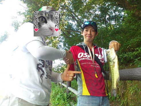 f:id:puchitenshi:20140803225447j:image f:id:puchitenshi:20140803225447j:image