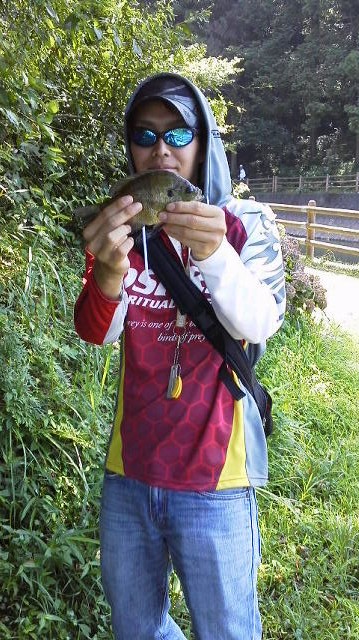 f:id:puchitenshi:20140803225620j:image f:id:puchitenshi:20140803225620j:image