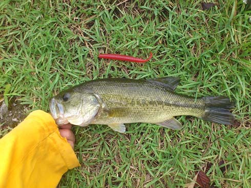 f:id:puchitenshi:20140815001452j:image f:id:puchitenshi:20140815001452j:image