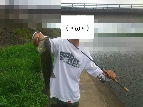 f:id:puchitenshi:20140820151543j:image f:id:puchitenshi:20140820151543j:image