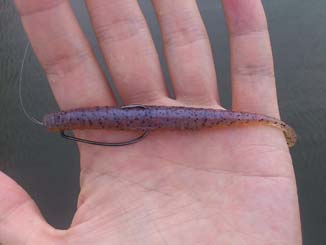 f:id:puchitenshi:20140820151603j:image f:id:puchitenshi:20140820151603j:image