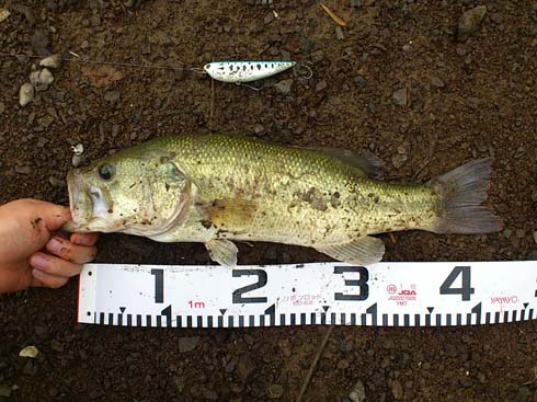 f:id:puchitenshi:20140901005410j:image f:id:puchitenshi:20140901005410j:image