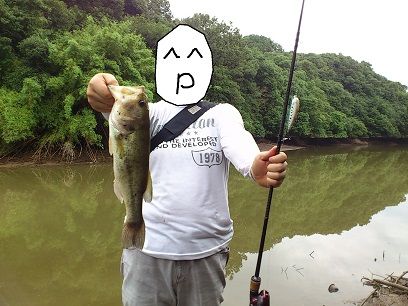 f:id:puchitenshi:20140901005717j:image f:id:puchitenshi:20140901005717j:image