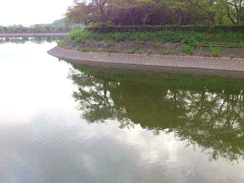 f:id:puchitenshi:20140905210101j:image