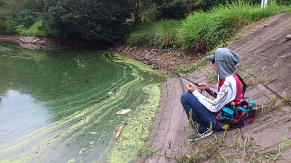 f:id:puchitenshi:20140905215518j:image f:id:puchitenshi:20140905215518j:image