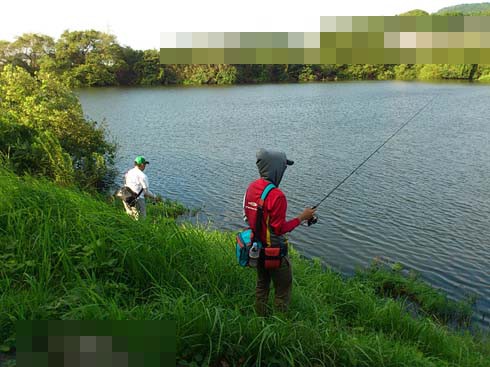 f:id:puchitenshi:20140908022711j:image f:id:puchitenshi:20140908022711j:image