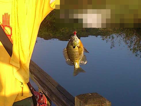 f:id:puchitenshi:20140908022742j:image f:id:puchitenshi:20140908022742j:image