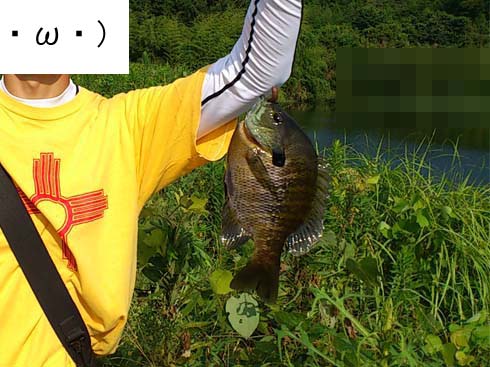 f:id:puchitenshi:20140908022822j:image f:id:puchitenshi:20140908022822j:image