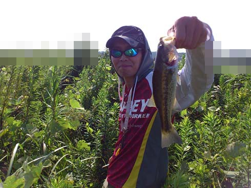 f:id:puchitenshi:20140908022851j:image f:id:puchitenshi:20140908022851j:image