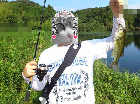 f:id:puchitenshi:20140908022940j:image f:id:puchitenshi:20140908022940j:image