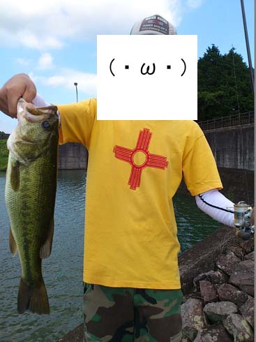 f:id:puchitenshi:20140908023051j:image f:id:puchitenshi:20140908023051j:image