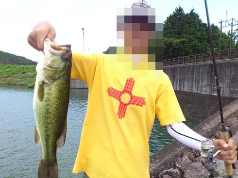 f:id:puchitenshi:20140908024310j:image f:id:puchitenshi:20140908024310j:image