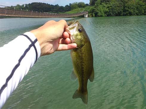 f:id:puchitenshi:20140910084231j:image f:id:puchitenshi:20140910084231j:image