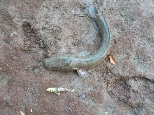 f:id:puchitenshi:20140928231132j:image f:id:puchitenshi:20140928231132j:image