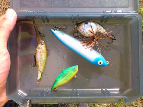 f:id:puchitenshi:20140928231201j:image f:id:puchitenshi:20140928231201j:image