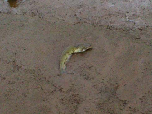 f:id:puchitenshi:20140928231211j:image f:id:puchitenshi:20140928231211j:image