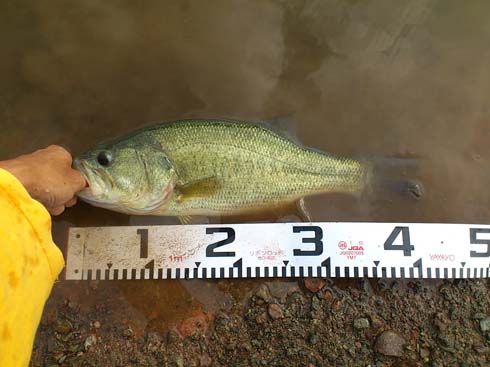 f:id:puchitenshi:20140928231413j:image f:id:puchitenshi:20140928231413j:image