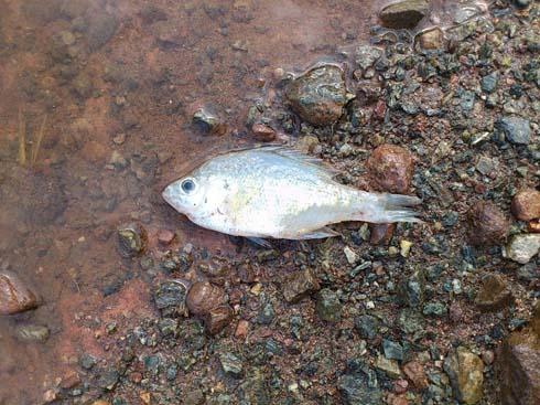 f:id:puchitenshi:20140928231441j:image f:id:puchitenshi:20140928231441j:image