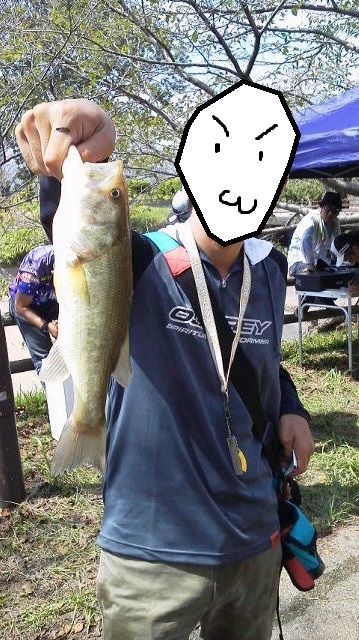 f:id:puchitenshi:20141003011254j:image