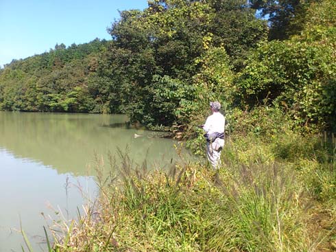 f:id:puchitenshi:20141103014036j:image