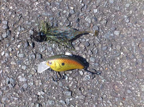 f:id:puchitenshi:20141103020146j:image