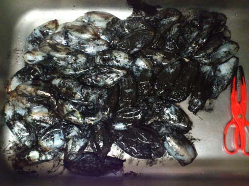 f:id:puchitenshi:20141130223256j:image