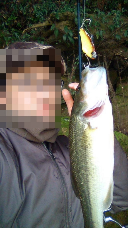 f:id:puchitenshi:20141210003450j:image