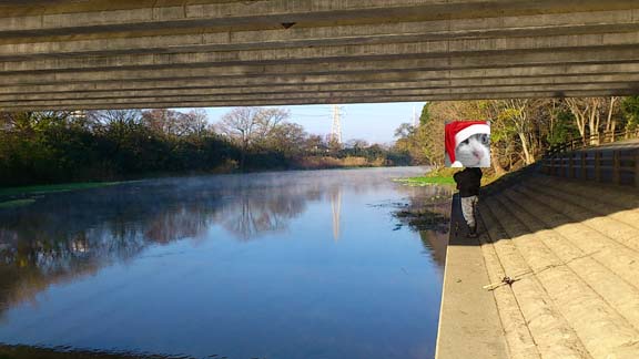 f:id:puchitenshi:20141213080017j:image