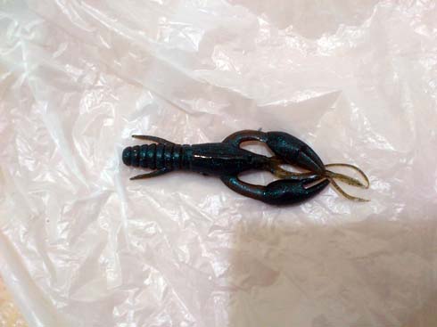 f:id:puchitenshi:20150119033634j:image