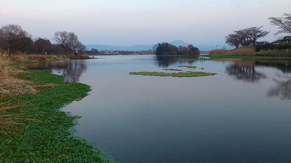 f:id:puchitenshi:20150121005913j:image