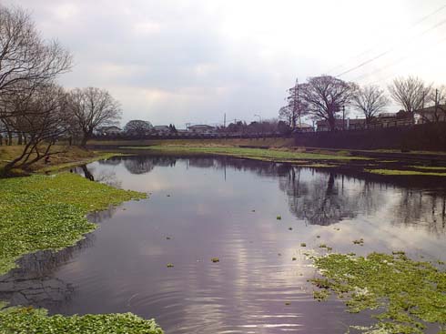 f:id:puchitenshi:20150125023440j:image f:id:puchitenshi:20150125023440j:image