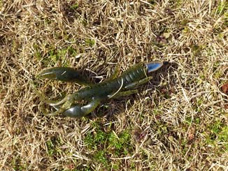 f:id:puchitenshi:20150125023626j:image f:id:puchitenshi:20150125023626j:image