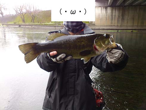 f:id:puchitenshi:20150227210352j:image