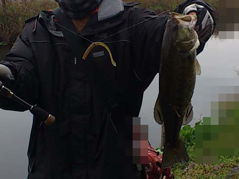 f:id:puchitenshi:20150227210638j:image