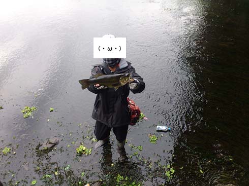 f:id:puchitenshi:20150227211316j:image