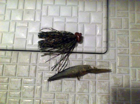 f:id:puchitenshi:20150401234636j:image f:id:puchitenshi:20150401234636j:image