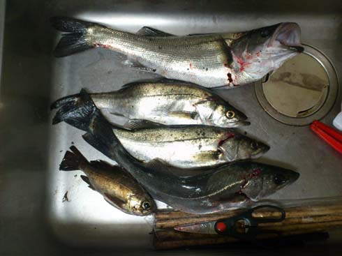 f:id:puchitenshi:20150401234701j:image f:id:puchitenshi:20150401234701j:image