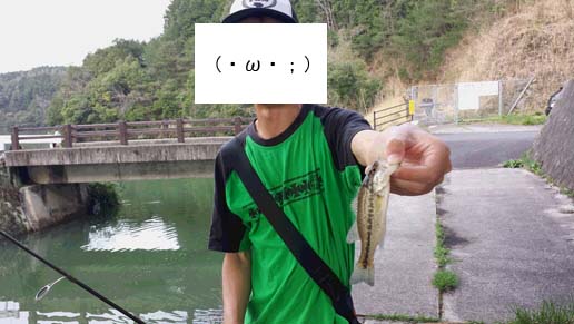 f:id:puchitenshi:20150427013515j:image f:id:puchitenshi:20150427013515j:image