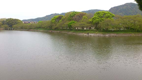 f:id:puchitenshi:20150502000637j:image