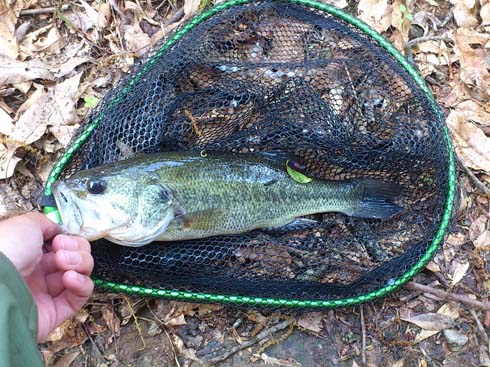 f:id:puchitenshi:20150502000737j:image