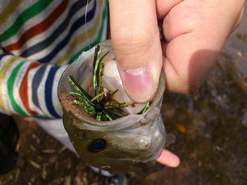 f:id:puchitenshi:20150502000839j:image