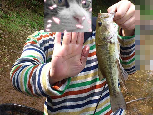 f:id:puchitenshi:20150502000849j:image