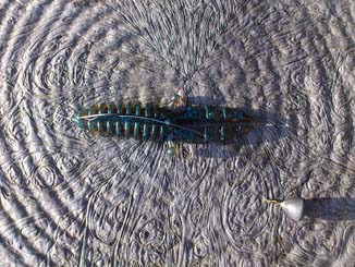 f:id:puchitenshi:20150502001003j:image