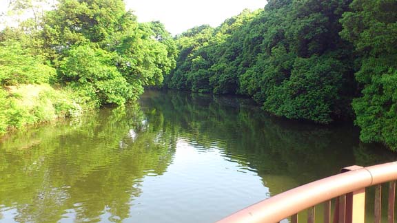 f:id:puchitenshi:20150522224126j:image