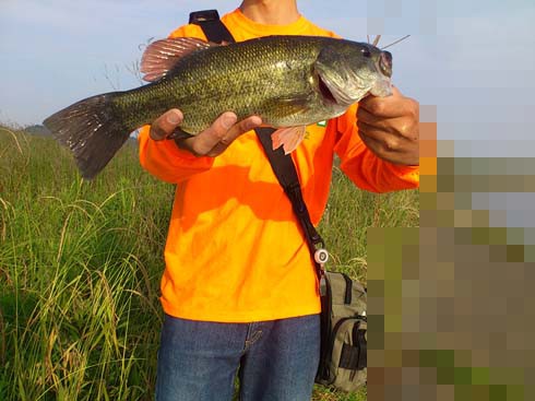 f:id:puchitenshi:20150701012718j:image f:id:puchitenshi:20150701012718j:image