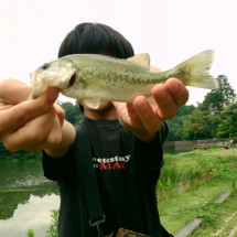 f:id:puchitenshi:20150701012853j:image f:id:puchitenshi:20150701012853j:image