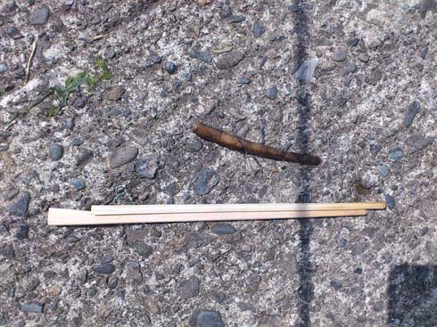 f:id:puchitenshi:20150703202321j:image