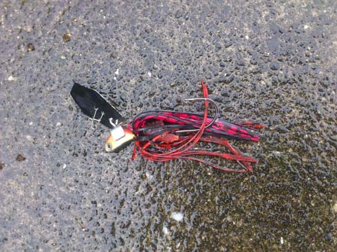 f:id:puchitenshi:20150714230539j:image