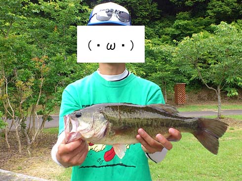 f:id:puchitenshi:20150720083546j:image