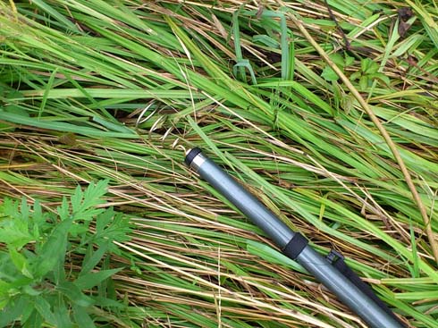 f:id:puchitenshi:20150814115610j:image